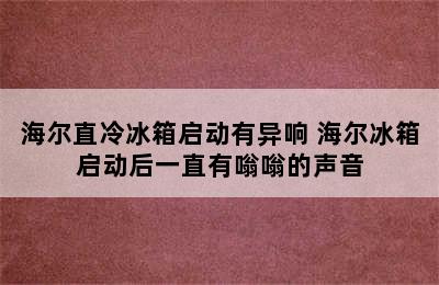 海尔直冷冰箱启动有异响 海尔冰箱启动后一直有嗡嗡的声音